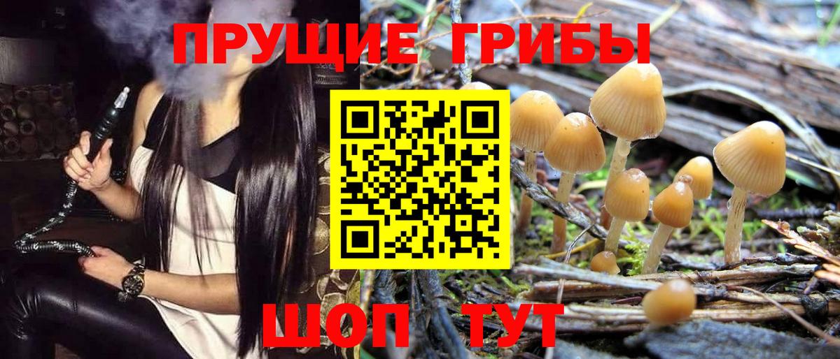 Галлюциногенные грибы Magic Shrooms  Вход с VPN  Новокубанск 