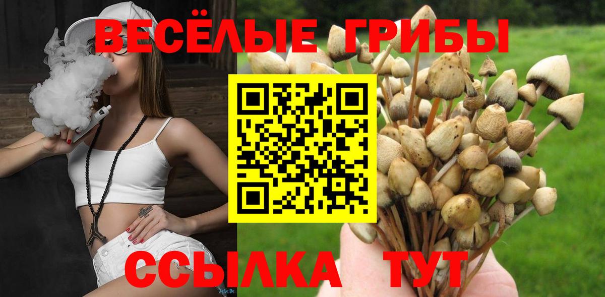 Псилоцибиновые грибы GOLDEN TEACHER Новокубанск